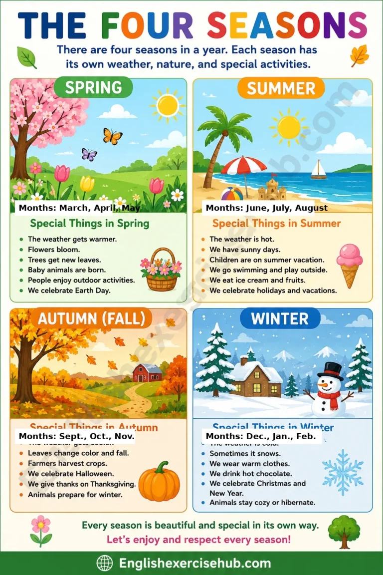four seasons